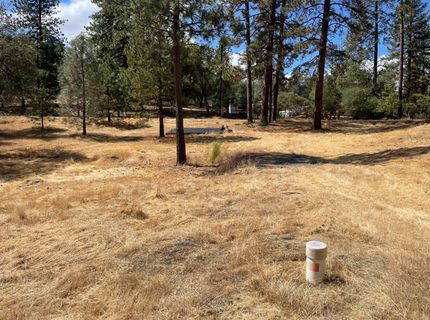 349 Cuckoo Ct, Applegate, CA 95703 Photo