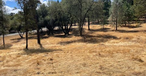 349 Cuckoo Ct, Applegate, CA 95703 Photo