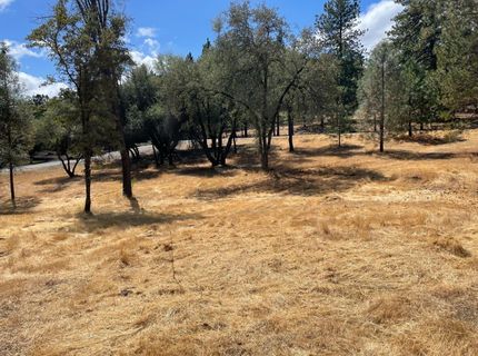 349 Cuckoo Ct, Applegate, CA 95703 Photo