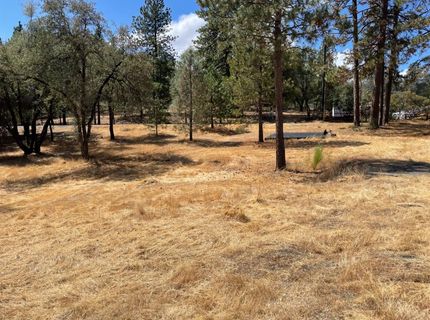 349 Cuckoo Ct, Applegate, CA 95703 Photo
