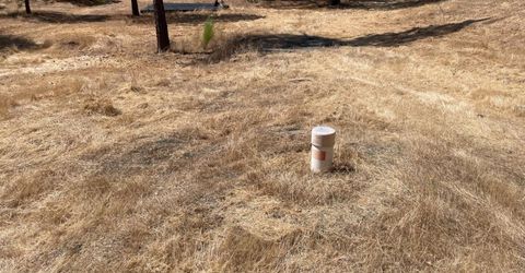 349 Cuckoo Ct, Applegate, CA 95703 Photo