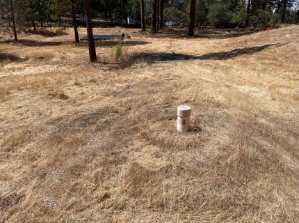 349 Cuckoo Ct, Applegate, CA 95703 Photo