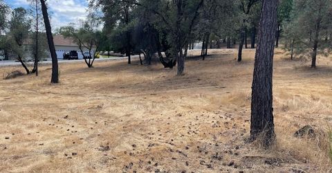 349 Cuckoo Ct, Applegate, CA 95703 Photo