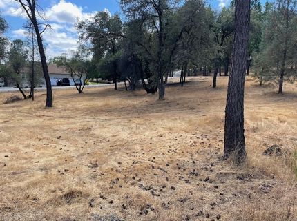 349 Cuckoo Ct, Applegate, CA 95703 Photo