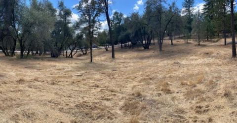 349 Cuckoo Ct, Applegate, CA 95703 Photo