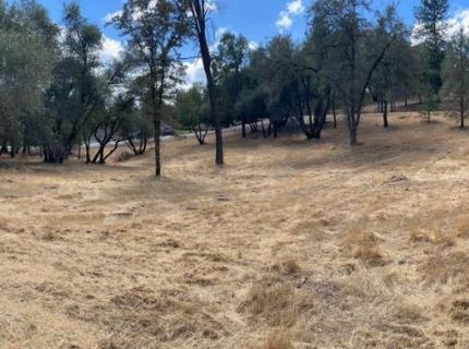 349 Cuckoo Ct, Applegate, CA 95703 Photo