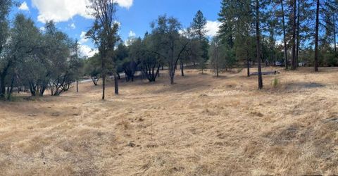 349 Cuckoo Ct, Applegate, CA 95703 Photo