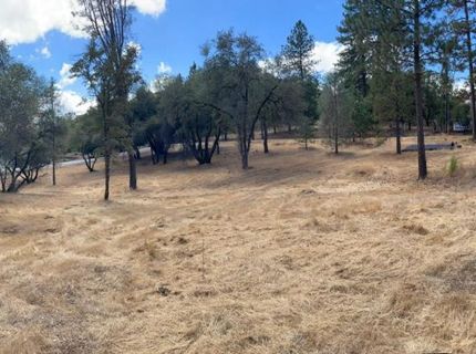 349 Cuckoo Ct, Applegate, CA 95703 Photo