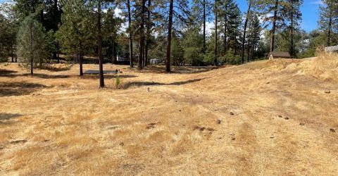 349 Cuckoo Ct, Applegate, CA 95703 Photo