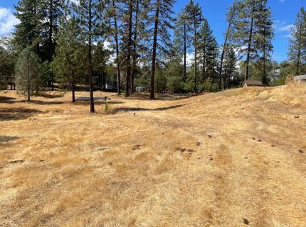 349 Cuckoo Ct, Applegate, CA 95703 Photo