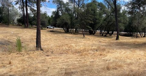 349 Cuckoo Ct, Applegate, CA 95703 Photo
