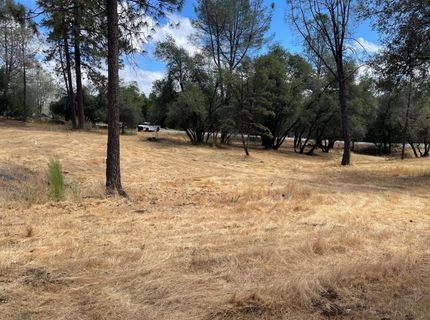 349 Cuckoo Ct, Applegate, CA 95703 Photo