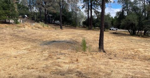 349 Cuckoo Ct, Applegate, CA 95703 Photo