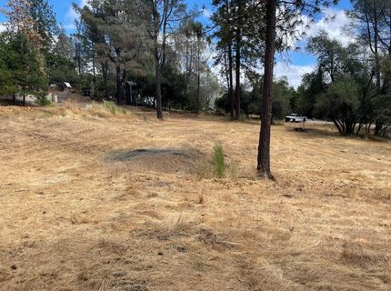 349 Cuckoo Ct, Applegate, CA 95703 Photo