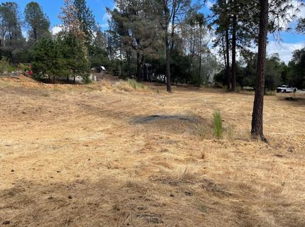 349 Cuckoo Ct, Applegate, CA 95703 Photo