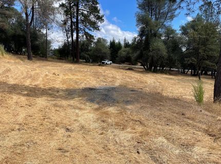 349 Cuckoo Ct, Applegate, CA 95703 Photo
