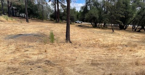 349 Cuckoo Ct, Applegate, CA 95703 Photo