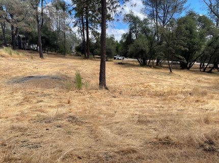 349 Cuckoo Ct, Applegate, CA 95703 Photo