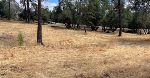 349 Cuckoo Ct, Applegate, CA 95703 Photo