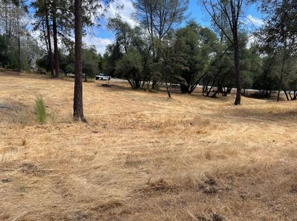 349 Cuckoo Ct, Applegate, CA 95703 Photo