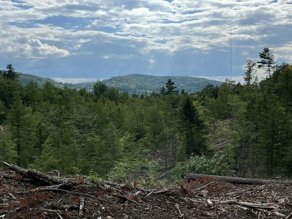 203 Robinson Hill Road , Sebago, ME 04029