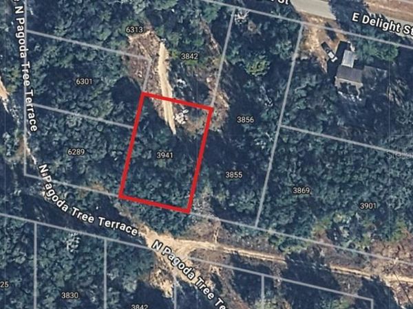 3941 E PEGGY STREET , HERNANDO, FL 34442
