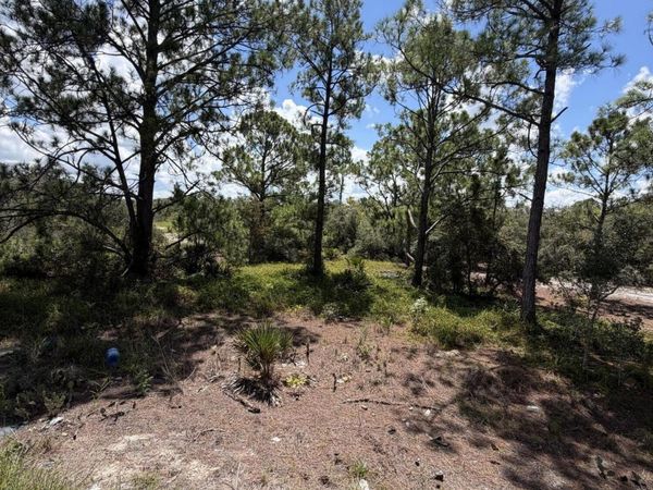 391 MARIONETTE Avenue, Lake Placid, FL 33852