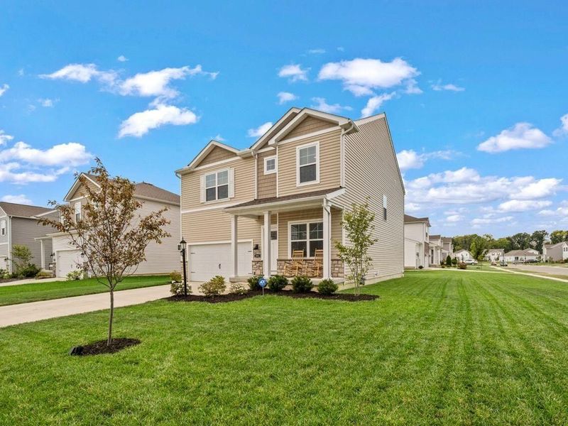 291 Shady Hollow Drive, Commercial Point, OH 43116 Photo 3