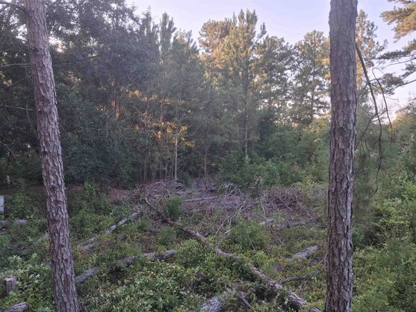 Lot 12-D McGregor Circle , Lake City, SC 29560