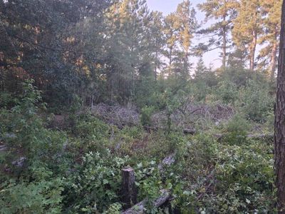 Lot 11-D McGregor Circle, Lake City, SC 29560