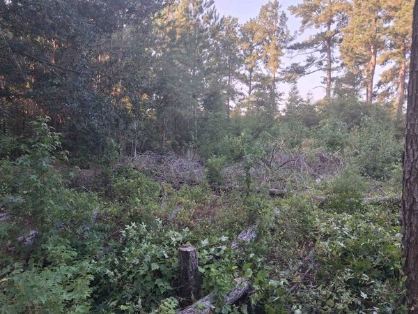 Lot 11-D McGregor Circle , Lake City, SC 29560