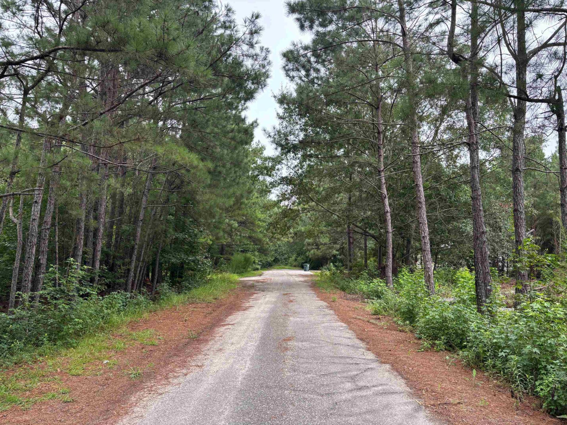 Lot 11-d Mcgregor Circle Photo 4