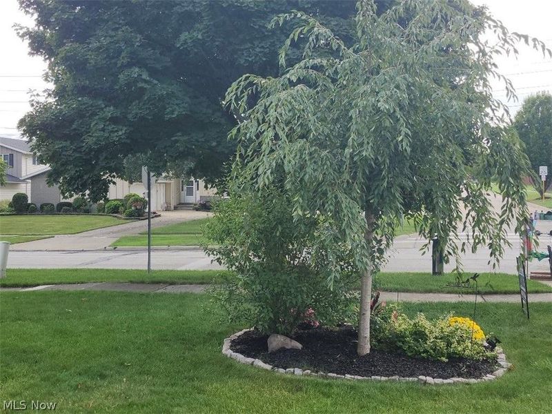 Middleburg Heights, OH 44130 Photo 7