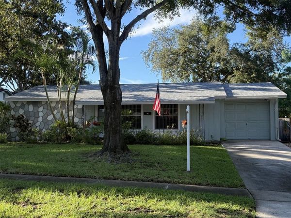2905 LEMONWOOD STREET , CLEARWATER, FL 33759