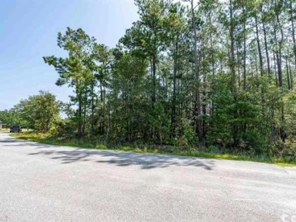 1535 Wilderness Ln. , Loris, SC 29569