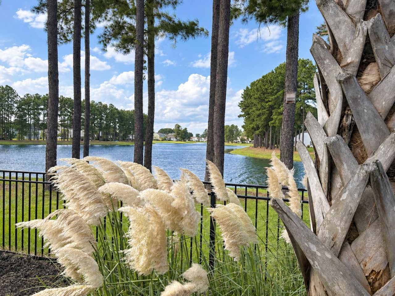 276 Calm Water Way Photo 38