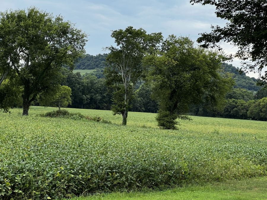 Property Image 35