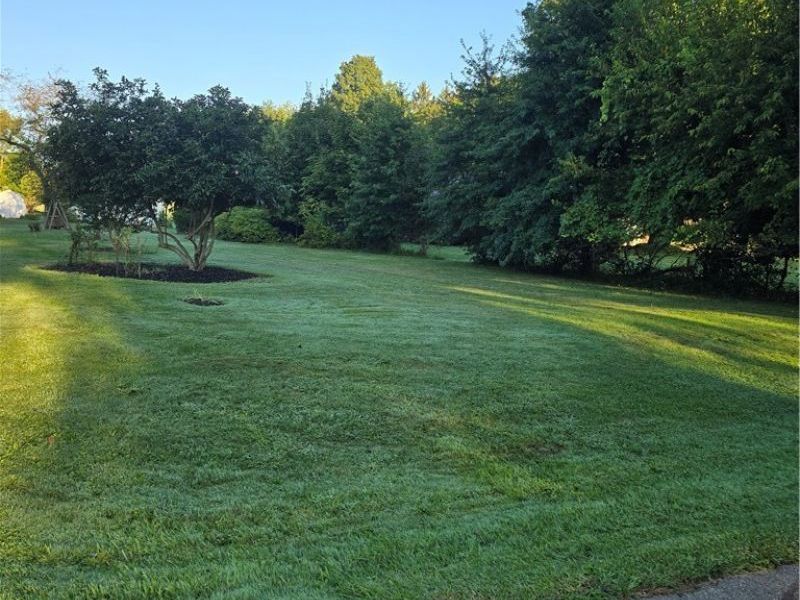 2894 Rich Road, Norton, OH 44203 Photo 5