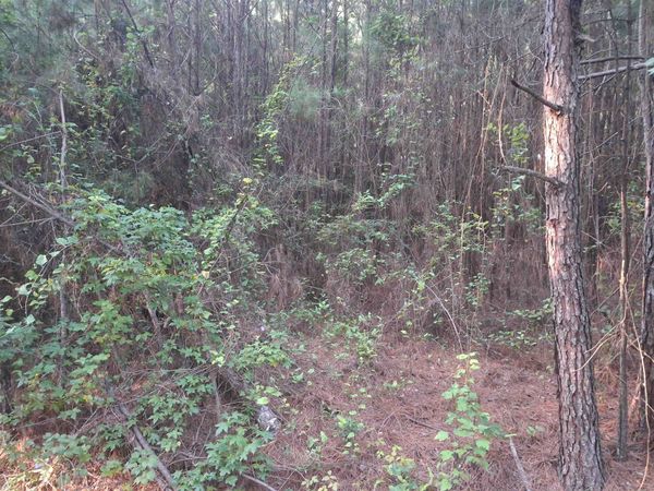 Lot 5-D McGregor Circle , Lake City, SC 29560