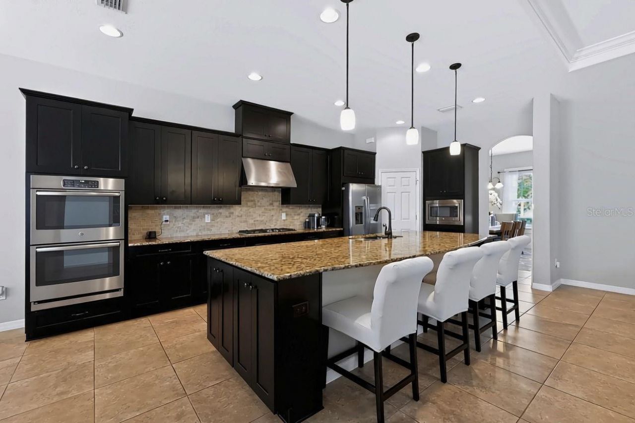 8781 Bella Vita Circle, Land O Lakes, FL 34637 Photo