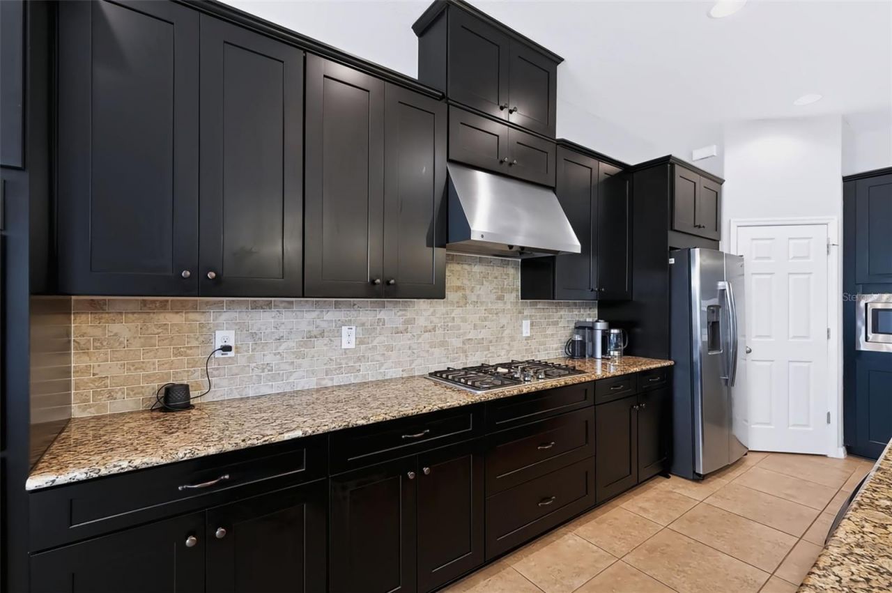 8781 Bella Vita Circle, Land O Lakes, FL 34637 Photo
