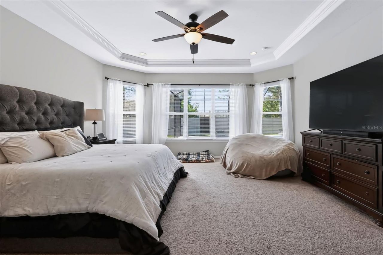 8781 Bella Vita Circle, Land O Lakes, FL 34637 Photo