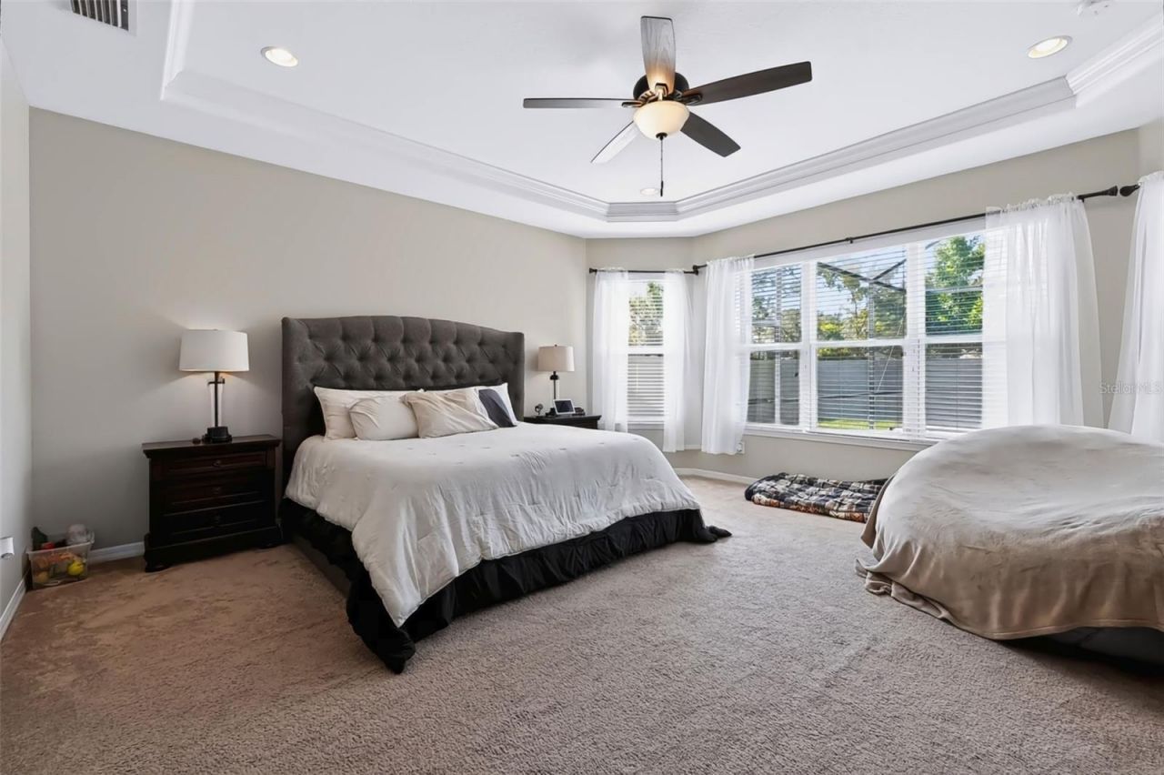 8781 Bella Vita Circle, Land O Lakes, FL 34637 Photo
