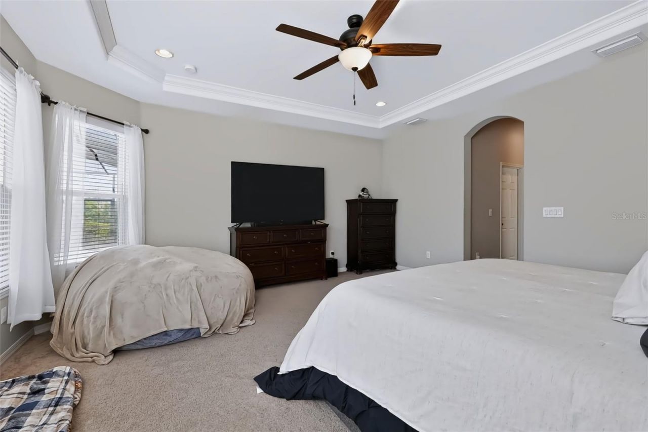 8781 Bella Vita Circle, Land O Lakes, FL 34637 Photo