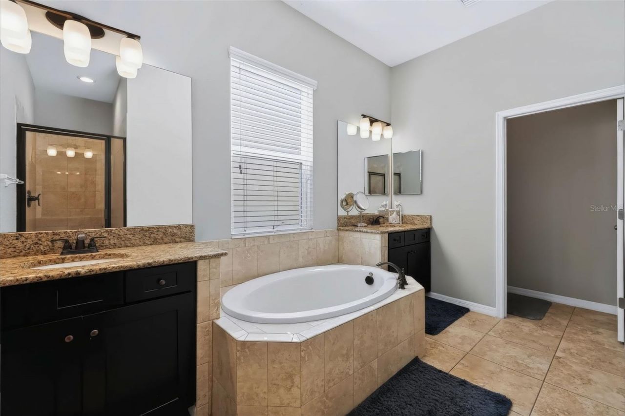 8781 Bella Vita Circle, Land O Lakes, FL 34637 Photo