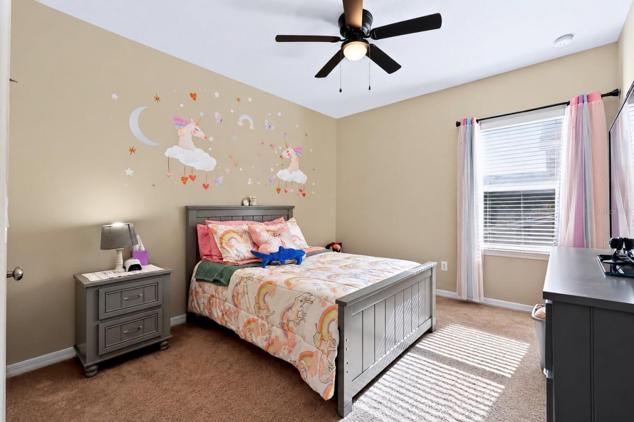 8781 Bella Vita Circle, Land O Lakes, FL 34637 Photo