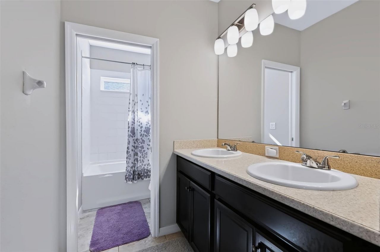8781 Bella Vita Circle, Land O Lakes, FL 34637 Photo