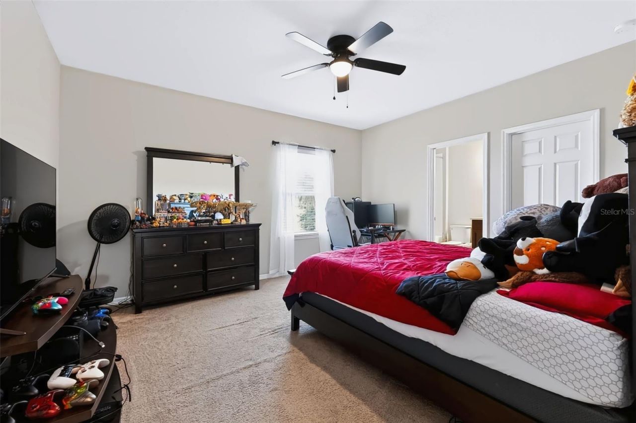 8781 Bella Vita Circle, Land O Lakes, FL 34637 Photo
