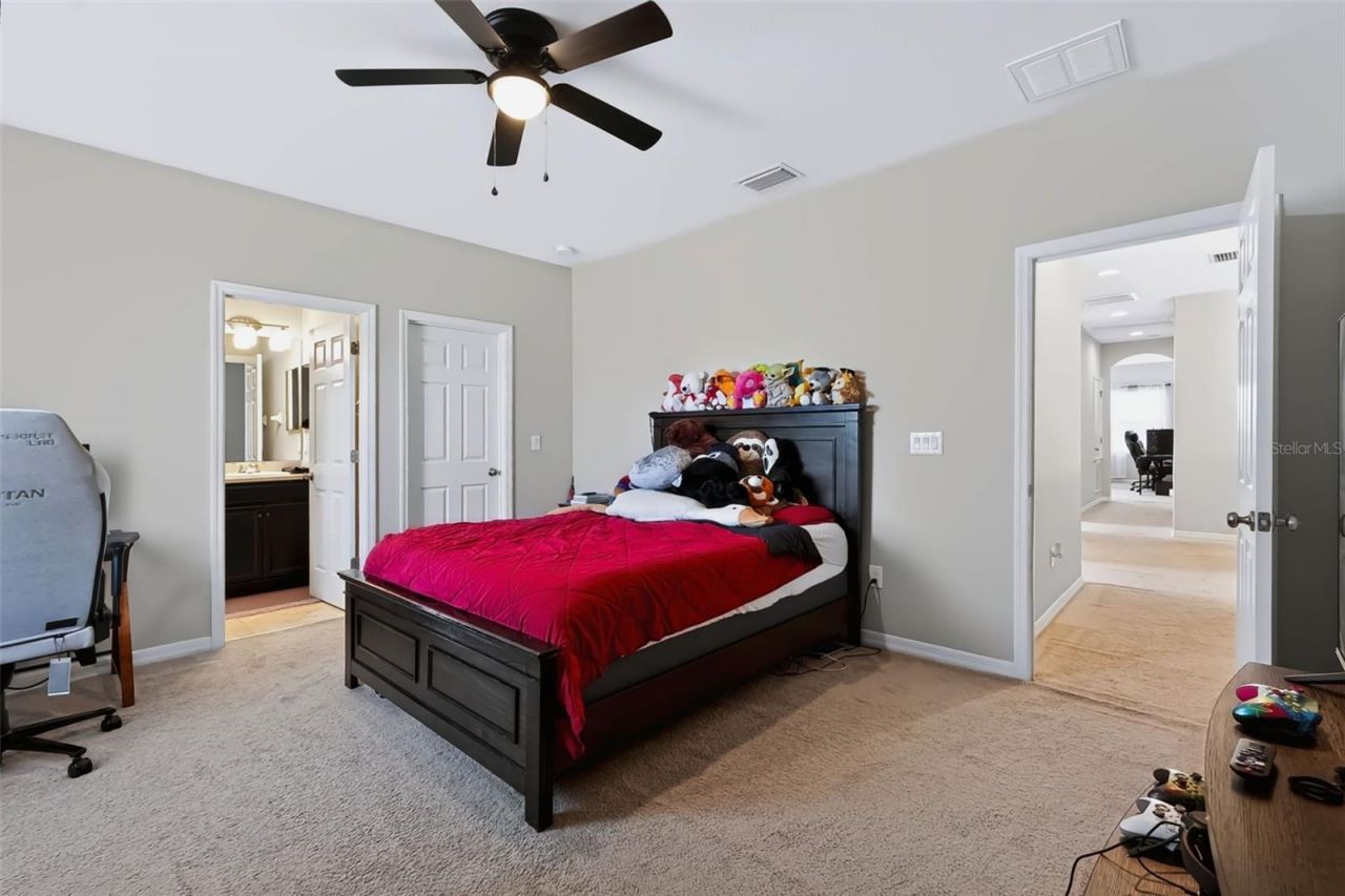 8781 Bella Vita Circle, Land O Lakes, FL 34637 Photo