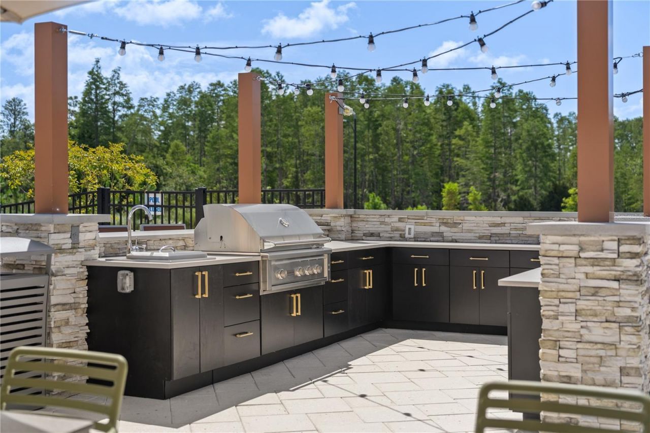 8781 Bella Vita Circle, Land O Lakes, FL 34637 Photo